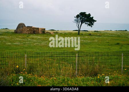 Alte Farm an der Adriaküste von Apulien. Stockfoto