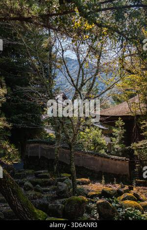 Moosige Gartenecke auf Itsukushima mit Zedern und Tempeldächern Stockfoto