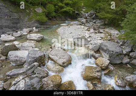 Der klare Bach fließt durch eine felsige Landschaft, umgeben von grünen Bäumen, Okatse River, Imereti Region, Imereti, Georgia Stockfoto