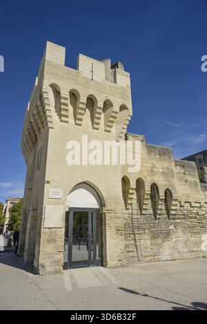Porte de la Republique, Stadtmauer, Avignon, Frankreich Stockfoto