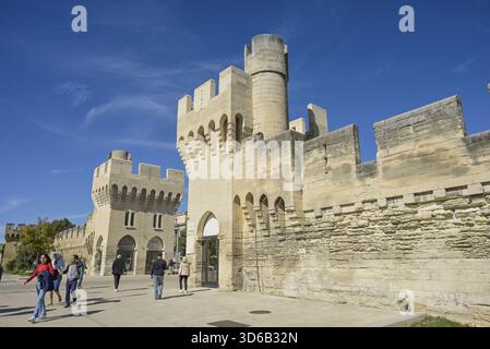 Porte de la Republique, Stadtmauer, Avignon, Frankreich Stockfoto