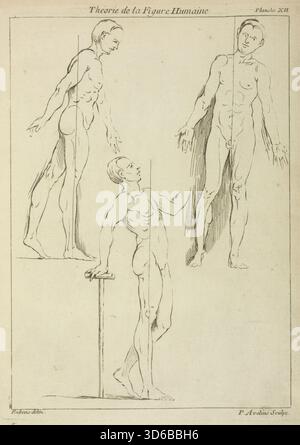 Drei stehende Figuren, von der Seite und von vorne gesehen. Peter Paul Rubens (Flämisch, 1577-1640)" Stockfoto