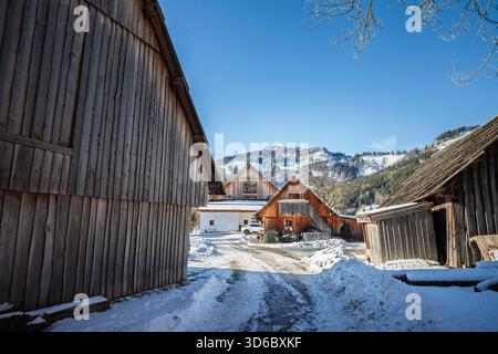 In Zgornje Jezersko Slowenien stehen unter verschneiten Hängen alpine Bauernhöfe und Holzchalets. Holzscheunen, ein Bauernhof und Winterlicht zeigen die Mischung aus Stockfoto