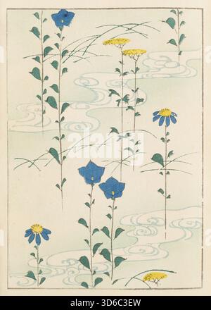 Shin-Bijutsukai / Herz - Kunstwelt (1901-1902). Furuya K?rin (Japanisch, 1875-1910). Veröffentlicht von Unsodo. Pl.017' Stockfoto