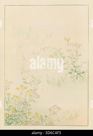 Shin-Bijutsukai / Herz - Kunstwelt (1901-1902). Furuya K?rin (Japanisch, 1875-1910). Veröffentlicht von Unsodo. Pl.285' Stockfoto