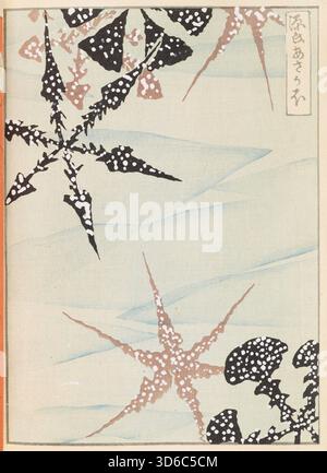 Shin-Bijutsukai / Herz - Kunstwelt (1901-1902). Furuya K?rin (Japanisch, 1875-1910). Veröffentlicht von Unsodo. Pl.472' Stockfoto