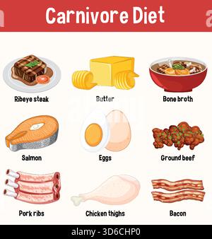 Colorful vector infographic of key carnivore diet foods, including meats and dairy, with labels. Stock Vektor