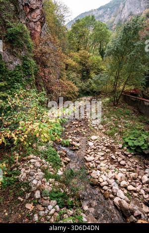 Ein kleiner Waldbach fließt durch felsiges Gelände in einem üppigen Bergtal Stockfoto