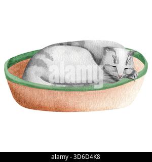 Eine graue Tabbykatze, die auf einem Bett schläft, Aquarellillustration. Eine britische oder schottische Faltkatze, einfache Illustration mit einem gemütlichen Katzenbett. Stockfoto