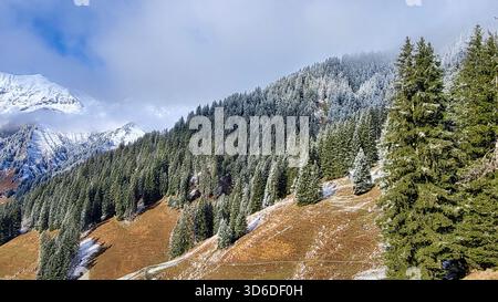 Märchenhafte Almweide im Herbst, umgeben von goldenen Saisontönen und frostbedeckten Tannen, Adelboden, Berbese Oberland, Schweiz Stockfoto