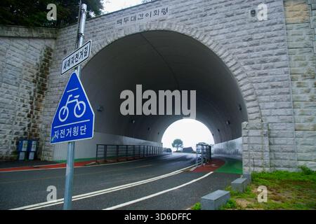 Goesan County - 28. September 2025: Eine feuchte Bergstraße führt durch einen Wald unter Kiefern in der Nähe des Ihwa Pass im Goesan County, mit einem roten Schulterweg Stockfoto