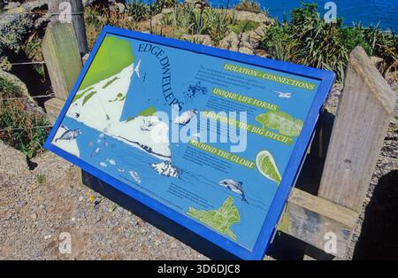 Cape Foulwind ist eine Landzunge an der Westküste der Südinsel Neuseelands mit Blick auf die Tasmansee. Stockfoto