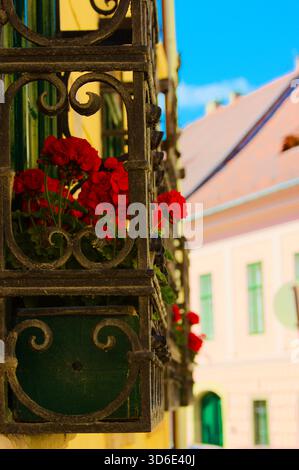 Rote Blumen auf einem dekorativen schmiedeeisernen Balkon in einer historischen Straße Stockfoto