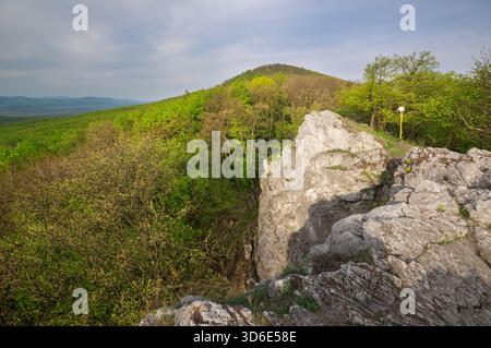 Blick auf zerklüftete weiße Felsen im Kontrast zu dem üppig grünen Wald, der bis zu einem weit entfernten Gipfel unter weichem Himmel reicht, Smolenice, Region Trnava, Slowakei Stockfoto