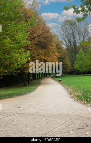 Von Bäumen gesäumter Parkweg im Herbst mit gefallenen Blättern und Bänken, die eine ruhige natürliche Landschaft schaffen Stockfoto
