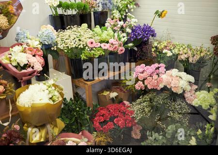 Verschiedene frische Blumen, darunter rosa Nelken, Chrysanthemen, rote Rosen, lila Iris und grüne Hortensien, die in schwarzen Vasen und Sträußen auf Holztisch und -Boden angeordnet sind Stockfoto