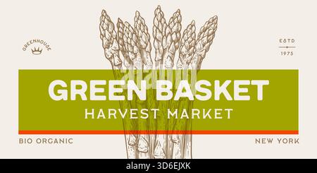 Spargel, Bio-Gemüse skizzieren Stock Vektor