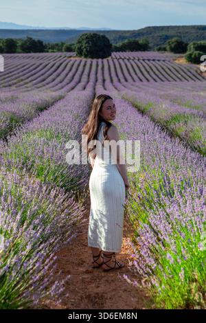 Eine Frau in einem weißen Kleid steht auf einem lebhaften Lavendelfeld mit sanften Hügeln im Hintergrund. Die Szene fängt das Wesen der Ruhe und na ein Stockfoto