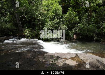 Waldstrom Über Rocky Ledge Stockfoto