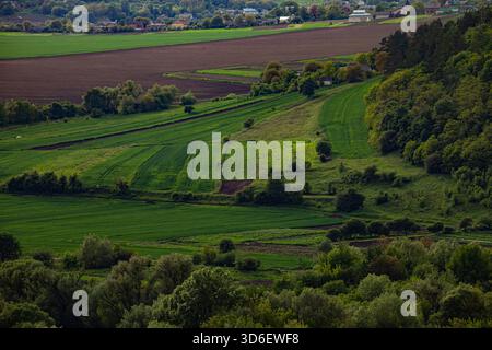 Üppige grüne Felder erstrecken sich über die Landschaft, die von Bäumen und Hügeln umgeben ist, und die Sonne beleuchtet die Landschaft im warmen Licht des späten Afternos Stockfoto