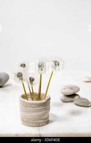 Stillleben mit blühenden flauschigen Dandelions-Blüten in handgefertigter Keramik Topf mit glatten Steinen auf weißem Marmor Hintergrund Leichtigkeit Reinheit Konzept Stockfoto
