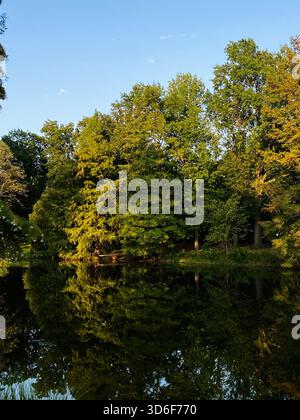 Eine friedliche Seeszene mit üppigen Bäumen, die sich im stillen Wasser von einem sonnigen Tag spiegeln. Stockfoto