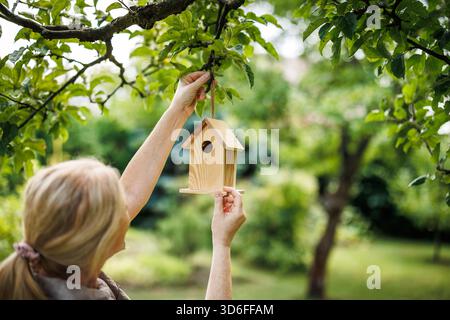 Frau hängte Vogelhaus auf Baumzweig im Garten des Hinterhofs und stützte Vogelnistungen Stockfoto