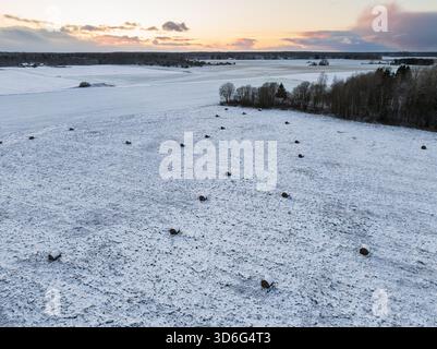 Luftdrohnen-Landschaft eines schneebedeckten Feldes mit verstreuten Heuballen während eines farbenfrohen Sonnenuntergangs in der ländlichen estnischen Landschaft. Stockfoto