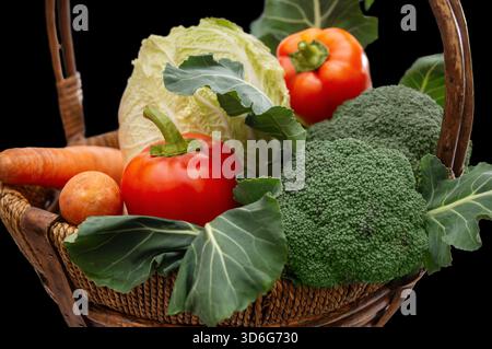 Ein Korb mit frischem Gemüse, einschließlich Salat, Paprika, Brokkoli und Karotten, perfekt für Mahlzeiten oder Präsentationen. Stockfoto