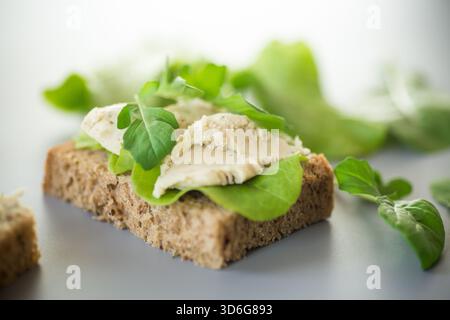 Nahaufnahme eines Sandwiches mit Hering und Salatblättern. Stockfoto