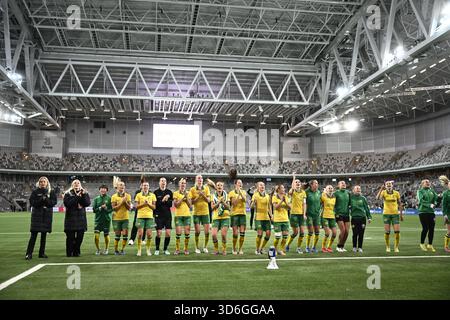 Stockholm, Schweden. November 2025. STOCKHOLM, SCHWEDEN 20251120Hammarby feiert, nachdem er 3-1 im Qualifikationsspiel des Europapokals 2 von 2 zwischen Hammarby IF und AFC Ajax in der 3Arena gewonnen hat. Foto: Pontus Lundahl/TT/Code 10050 dieser Text ist automatisch übersetzt Credit: TT News Agency/Alamy Live News Stockfoto
