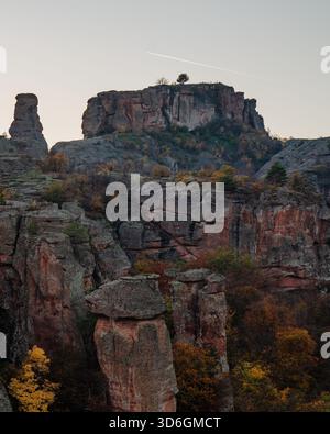 Blick auf alte rote Sandsteinformationen, die majestätisch gegen den Himmel ragen, Bäume, die sich an den Felsen in Belogradchik, Vidin, Bulgarien, Klammern. Stockfoto