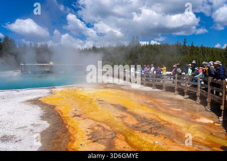Besucher des Yellowstone-Nationalparks in Wyoming, USA. Stockfoto