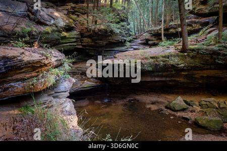 Der Blick auf moosbedeckte Felsen und Bäume umrahmt einen ruhigen Bach, der die Baumkronen im Hocking Hills State Park, Logan, Ohio, USA, reflektiert. Stockfoto