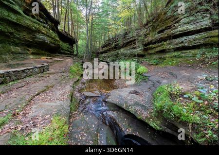 Blick auf einen ruhigen Bach, der sich durch eine Sandsteinschlucht schlängelt, eingerahmt von üppig grünem Laub und moosbedeckten Felsen, Logan, Ohio, USA. Stockfoto