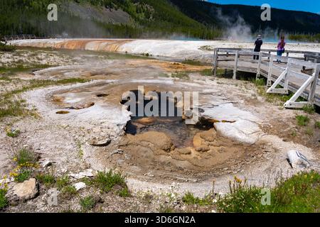 Besucher des Yellowstone-Nationalparks in Wyoming, USA. Stockfoto