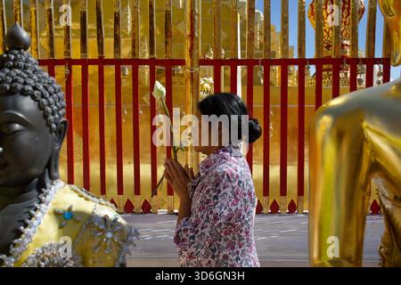 Thai Woamn, der Lotusblüte im Gebet hält, umklammerte Hände, flankiert von betenden Buddha-Statuen, während sie um die Stupa im Wat Doi Suthep spaziert. Stockfoto