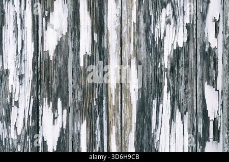Schäbige Holzstruktur, die von gealterten, rissigen Gemälden bedeckt ist. Oberfläche der rauhen Holztafeln mit Holzbemalung. Verstörtes Muster. Beschädigter grauer Hintergrund. Alter Schurken Stockfoto
