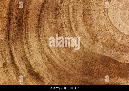 Holzstruktur von Schnittbaum Stamm oder Stumpf, Nahaufnahme. Grobe organische Baumringe. Hintergrund Holzstruktur. Baumstamm Querschnitt. Draufsicht, ma Stockfoto
