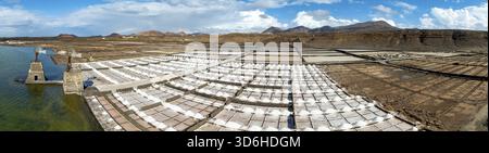 Salzbergwerk, Salinas de Janubio mit grüner Laguna de Janubio, in der Nähe von Yaiza, aus der Vogelperspektive, Lanzarote, Kanarische Inseln, Spanien Stockfoto