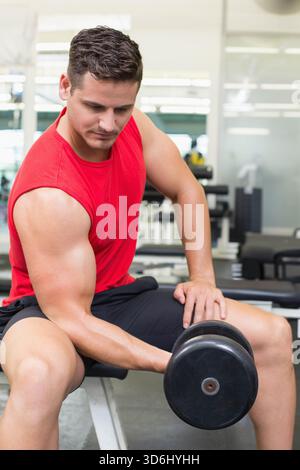 Mann in seinen 20ern, der sitzende Kurzhantelcurl auf der Turnbank mit rotem ärmellosem Hemd spielt. Gewichte, Fitnessstudio, Kraft, Training, Konzentration, Spiegel, equ Stockfoto