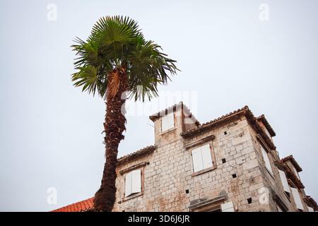 Neben einem verwitterten Steingebäude erhebt sich eine hohe Palme mit geschlossenen weißen Fensterläden und einem gekachelten Dach. Der bewölkte Himmel macht den Kontrast zwischen tropischen Farben weicher Stockfoto