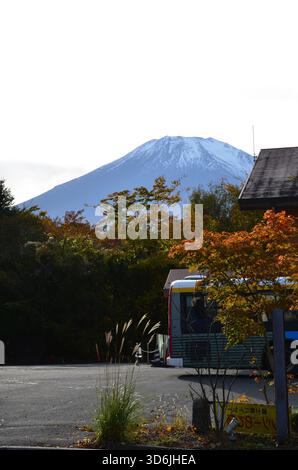 Mt. Fuji im Herbst Stockfoto