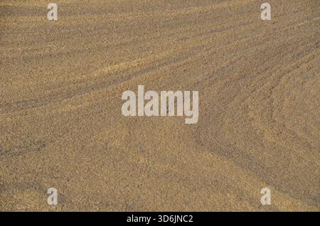 Abstrakte Nahtextur von Trockenschlamm und Schrot auf der Oberfläche eines Filterbettes einer Abwasseraufbereitungsanlage. Umwelthintergrund. Stockfoto