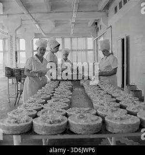 Slawjansk, Ukraine, UdSSR - November 1978: Archivfoto der Süßwarenabteilung in der neu eröffneten Brotfabrik im Mikrobezirk Artem. Eine Brigade von Bäckerinnen in weißen Uniformen und hohen Hüten schmückt eine große Menge runder Kuchen mit Sahne. Die Frauen stehen an einem langen Tisch und veredeln die Desserts mit Paspelsäcken. Dieses Schwarzweiß-Bild zeigt die handwerkliche Handwerkskunst und die Fülle an süßen Produkten in der Region Donezk während der friedlichen Sowjetzeit. Stockfoto