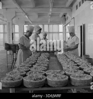 Slawjansk, Ukraine, UdSSR - November 1978: Archivfoto der Süßwarenabteilung in der neu eröffneten Brotfabrik im Mikrobezirk Artem. Eine Brigade von Bäckerinnen in weißen Uniformen und hohen Hüten schmückt eine große Menge runder Kuchen mit Sahne. Die Frauen stehen an einem langen Tisch und veredeln die Desserts mit Paspelsäcken. Dieses Schwarzweiß-Bild zeigt die handwerkliche Handwerkskunst und die Fülle an süßen Produkten in der Region Donezk während der friedlichen Sowjetzeit. Stockfoto