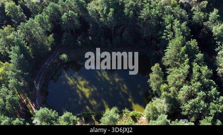 Natürlicher Teich, umgeben von einem dichten Kiefernwald, von oben erfasst, hebt die Schönheit der Umwelt und eine ruhige, isolierte Landschaft hervor Stockfoto