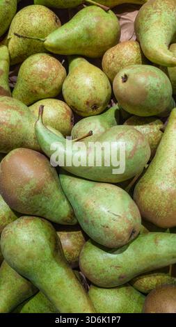 Ein Haufen reifer grüner Birnen mit natürlichen Texturen und organischen Mängeln. Das Bild betont Frische und natürliche Produkte. Stockfoto