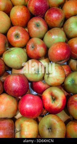 Ertikales redaktionelles Bild frischer roter und grüner Äpfel, angeordnet in einer dichten Supermarktpräsentation. Die Früchte weisen unterschiedliche Farben und Texturen auf. Stockfoto