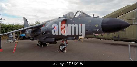 Blick auf die Sea Harrier FA2 (XZ459), einen Kriegsveteranen der Falklands, im Tangmere Military Aviation Museum Stockfoto